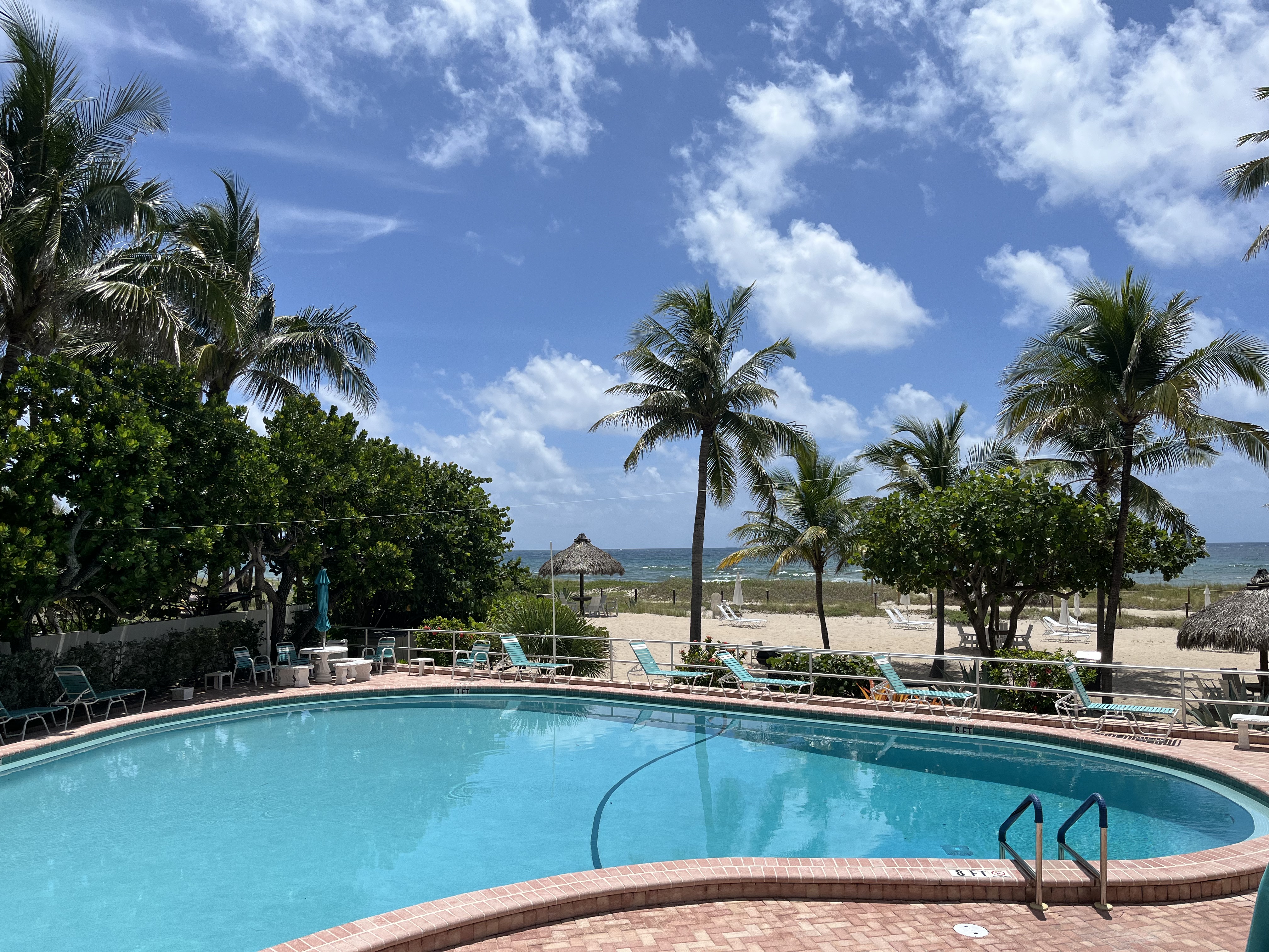 Upload your photos for the gallery