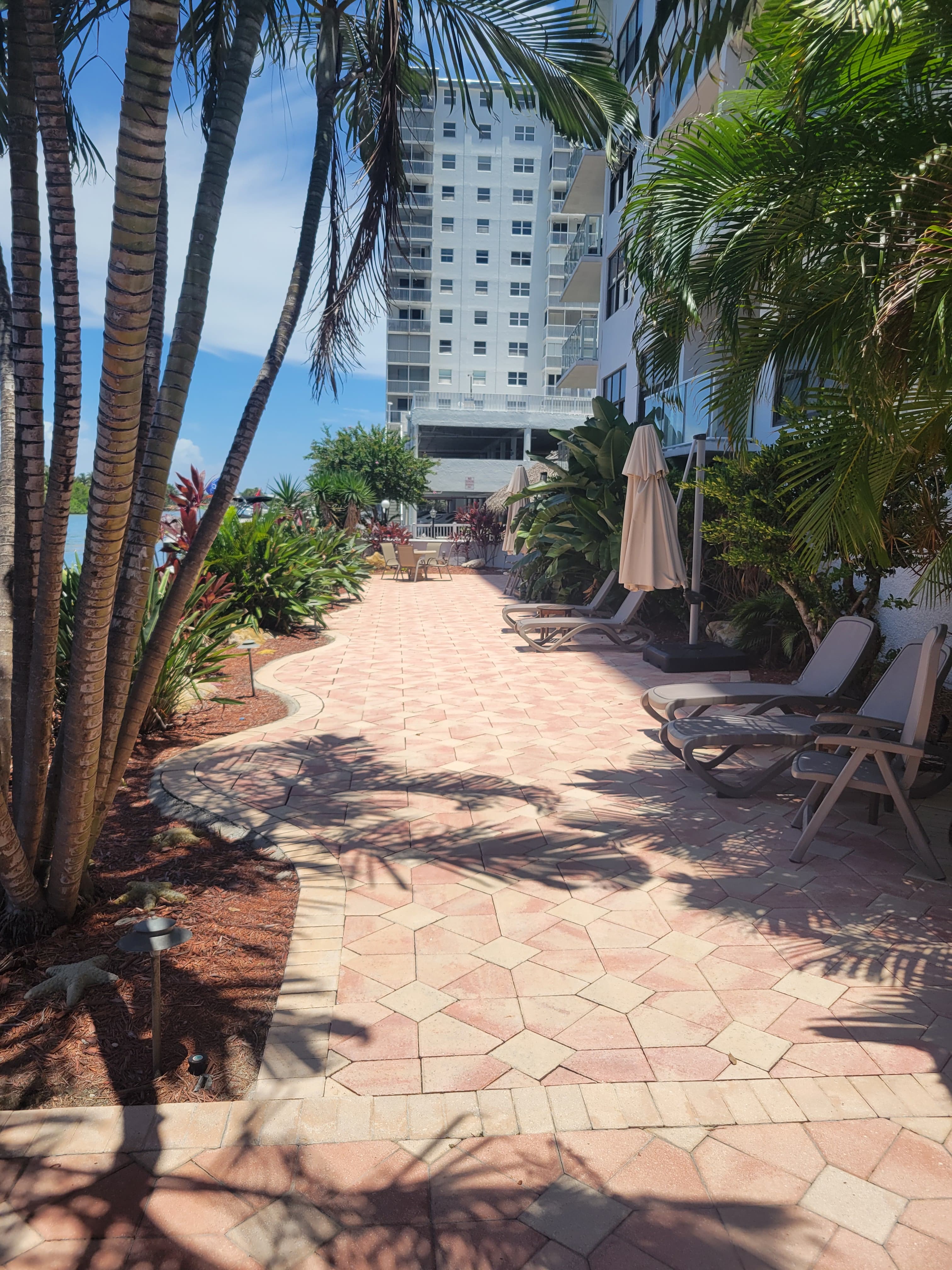 Upload your photos for the gallery