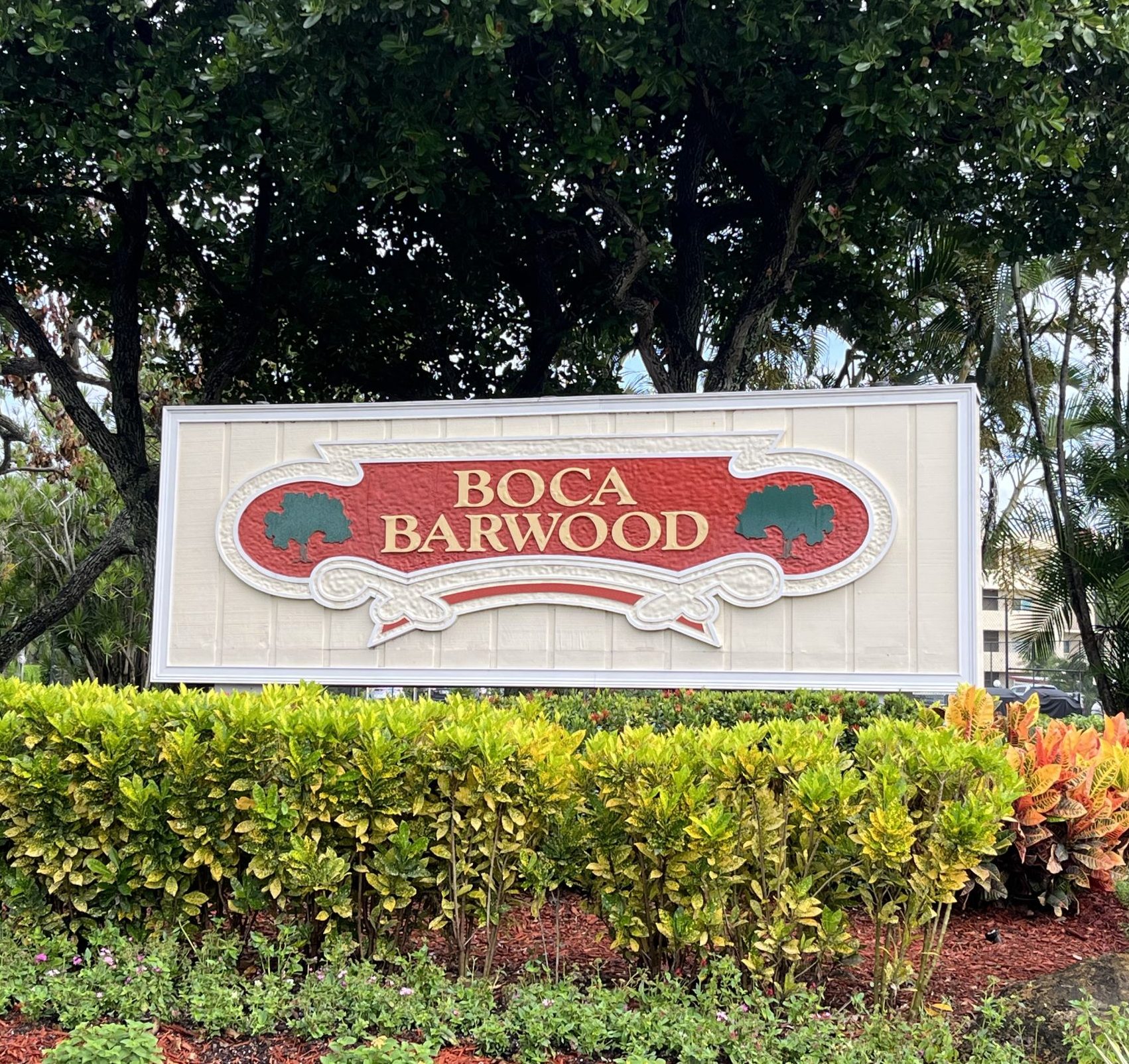 Boca Barwood